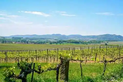 Sextreffen Pfalz
