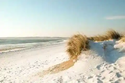 Hobbyhuren Sylt